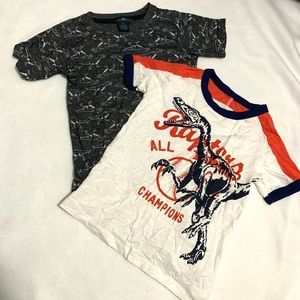 Boys Dinosaur Shirts